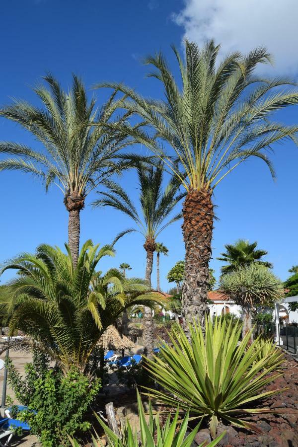 Parque Golf Fresh Lejlighed Maspalomas  Eksteriør billede