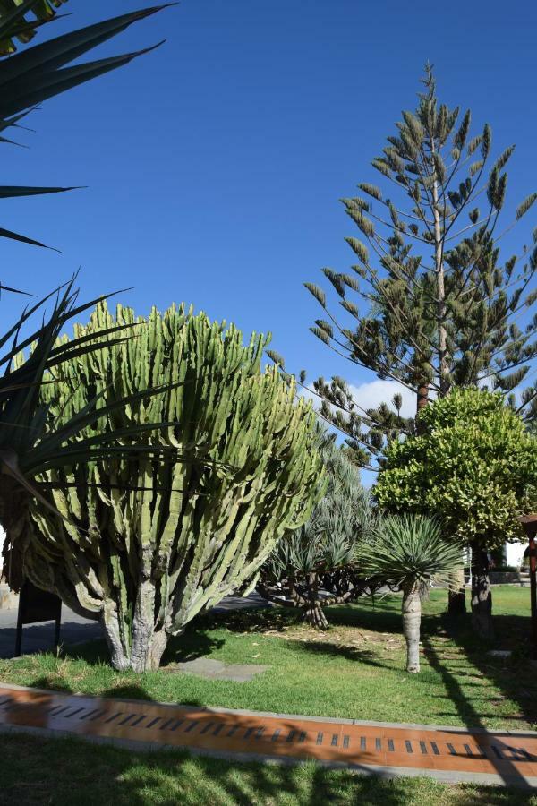 Parque Golf Fresh Lejlighed Maspalomas  Eksteriør billede